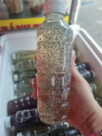 Hình ảnh Nha đam hạt é