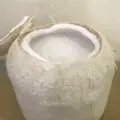 Hình ảnh Rau câu trái dừa
