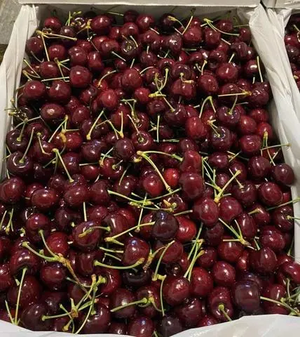 Hình ảnh Cherry Mỹ Ngon Giòn Tươi  1kg 