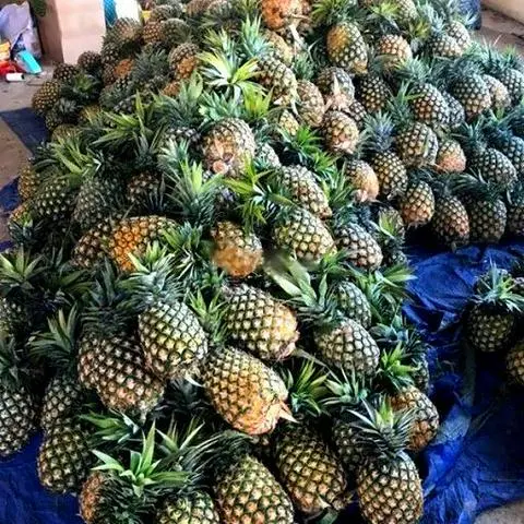 Hình ảnh Thơm - cà rốt đường phèn