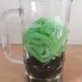 Hình ảnh Sương sáo bánh lọt