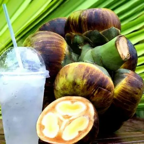 Hình ảnh Nước thốt nốt nguyên chất/ chai
