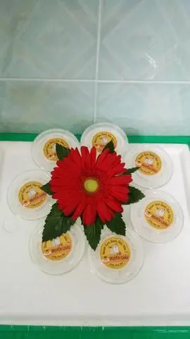 Hình ảnh Rau câu dừa 