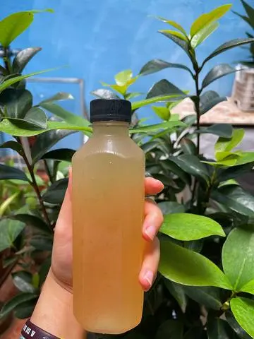 Hình ảnh Chanh Sả Thơm Ngon ( chai ) 