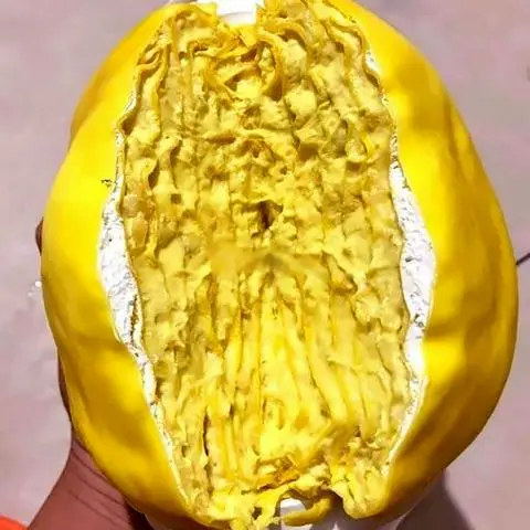 Hình ảnh Ngàn lớp size 16cm