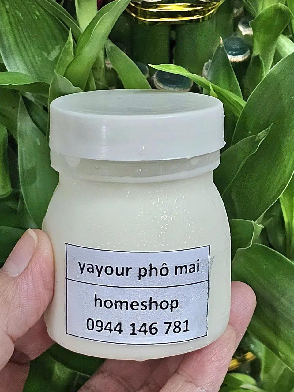 Hình ảnh Yayour phô mai