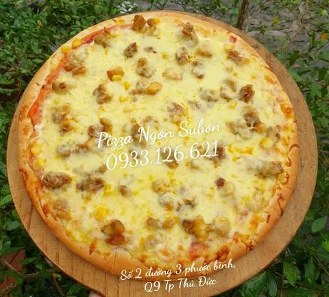 Hình ảnh Pizza Gà BBQ Phô Mai. L 26cm