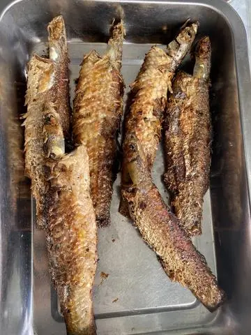 Hình ảnh cá đối chiên