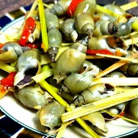 Hình ảnh Ốc cà na hấp sả