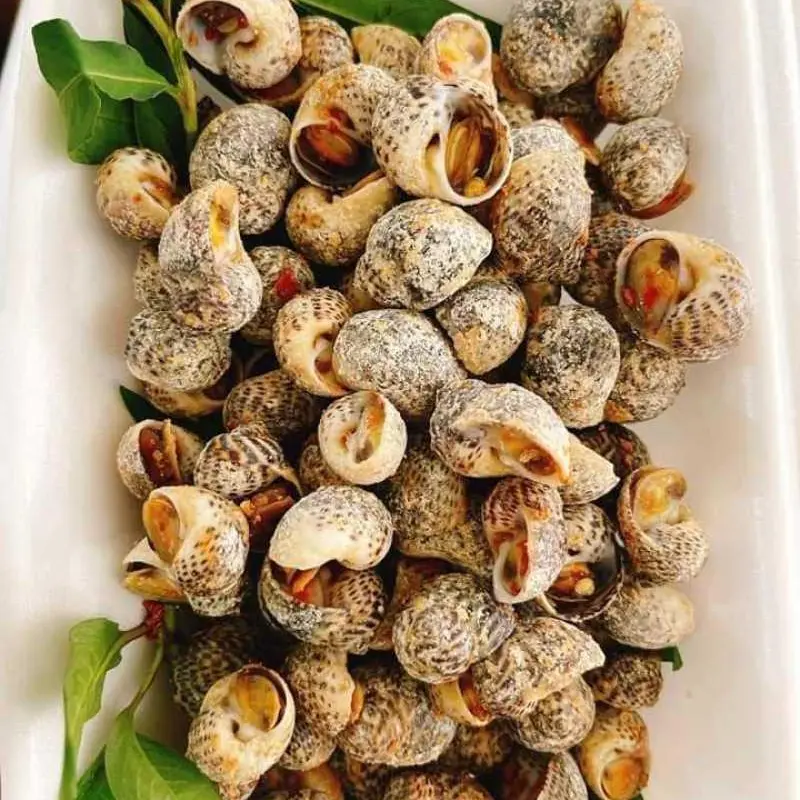 Hình ảnh Ốc bông rang muối