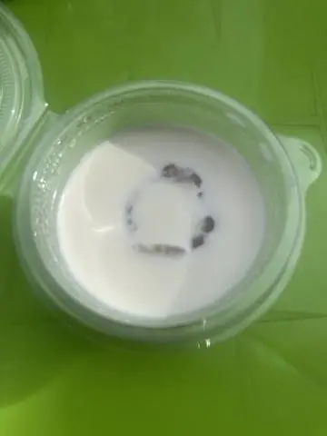 Hình ảnh Khúc bạch vải