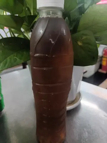 Hình ảnh Nước Sâm Nhà Nấu