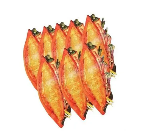 Hình ảnh Combo 8 ổ