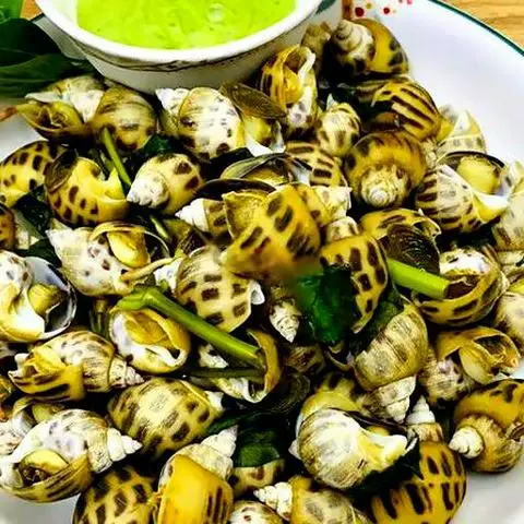 Hình ảnh Ốc hương mướng mọi