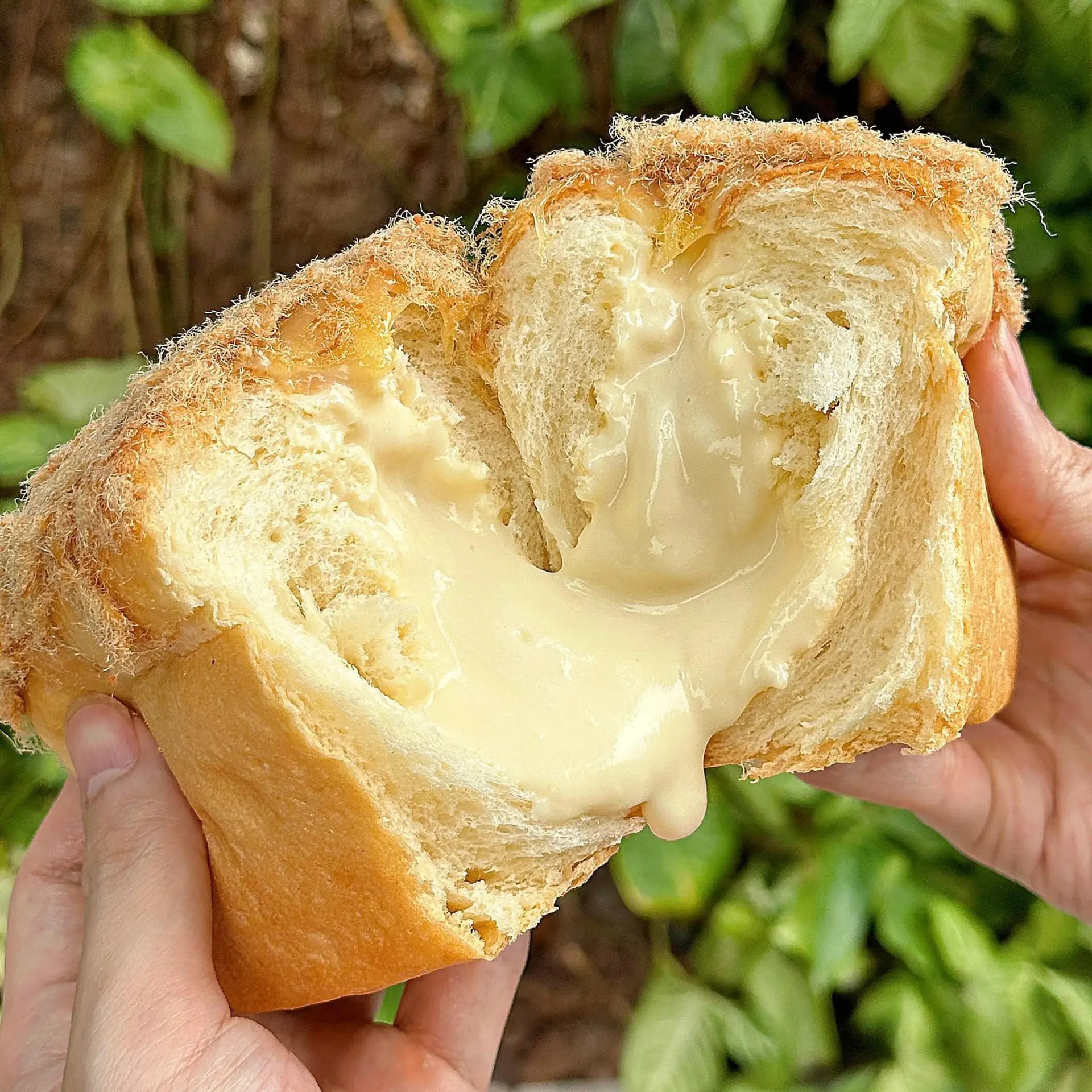 Hình ảnh Bánh mì phô mai tan chảy
