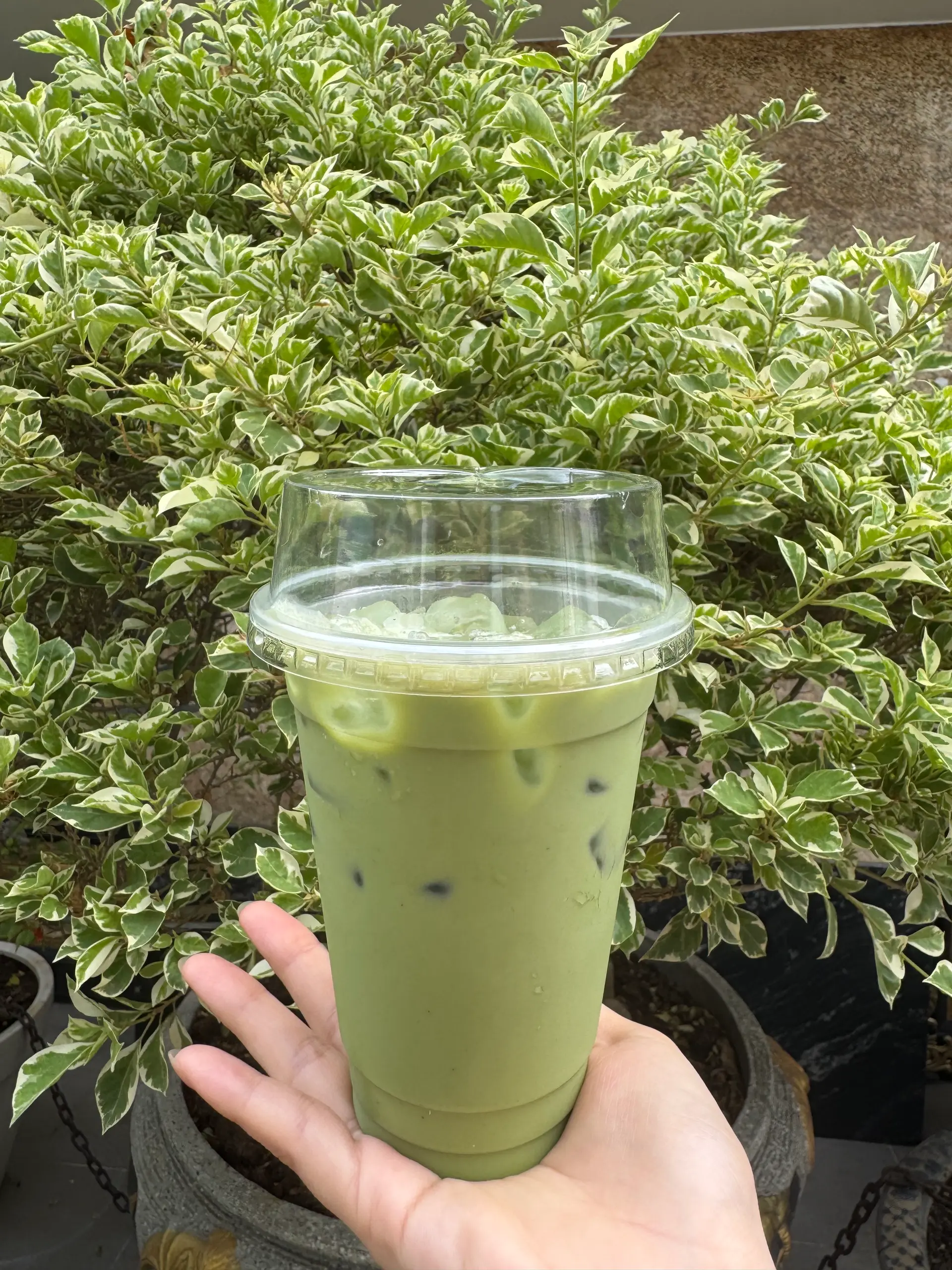 Hình ảnh Matcha cold whisk