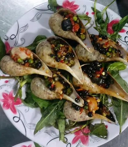 Hình ảnh Ốc Muỗng 