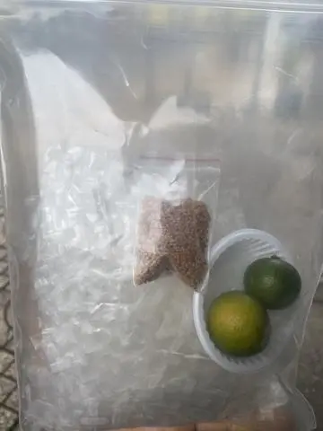 Hình ảnh Bánh Tráng Muối Tắc (size lớn)