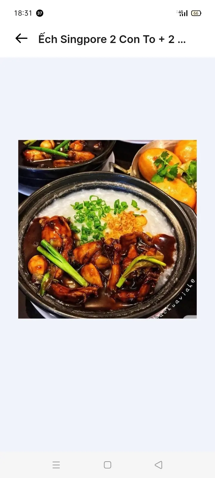Hình ảnh Ếch Singapore thêm 2 con ( ko cháo)