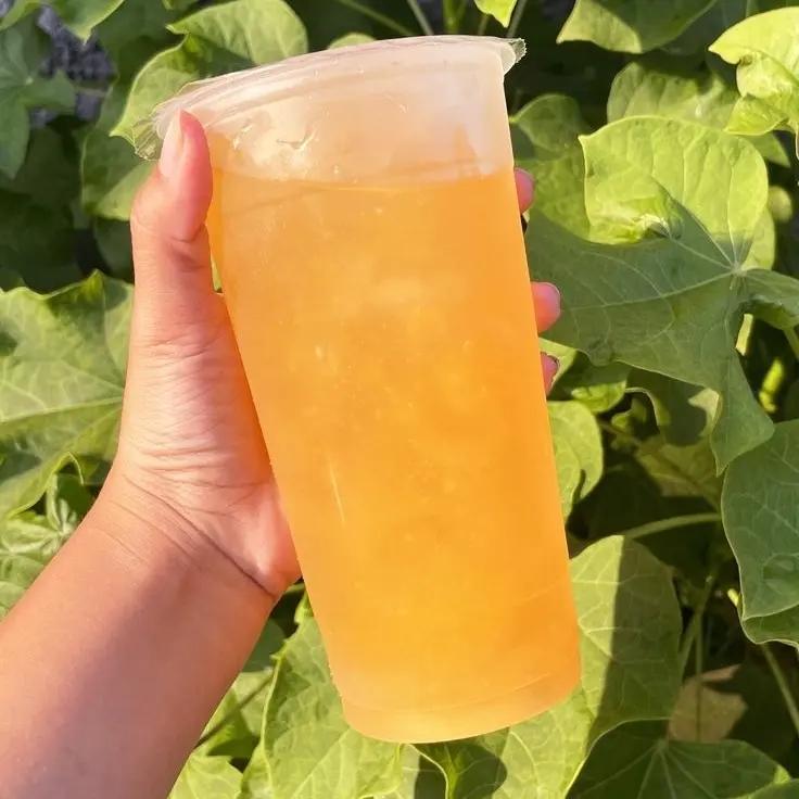 Hình ảnh Trà Chanh Hạt Chia Size L