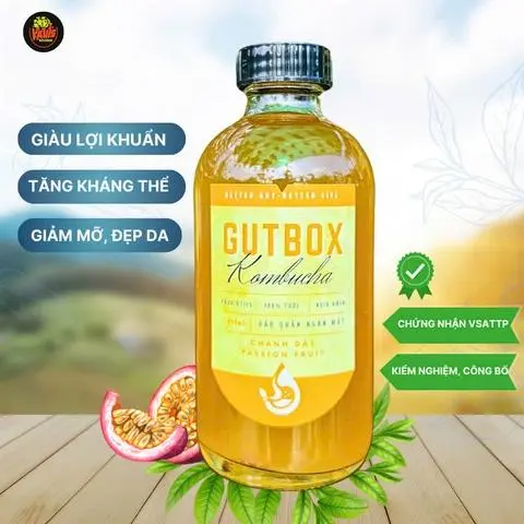 Hình ảnh Kombucha Tươi - Vị Chanh Dây