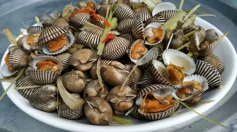 Hình ảnh Sò huyết lacos