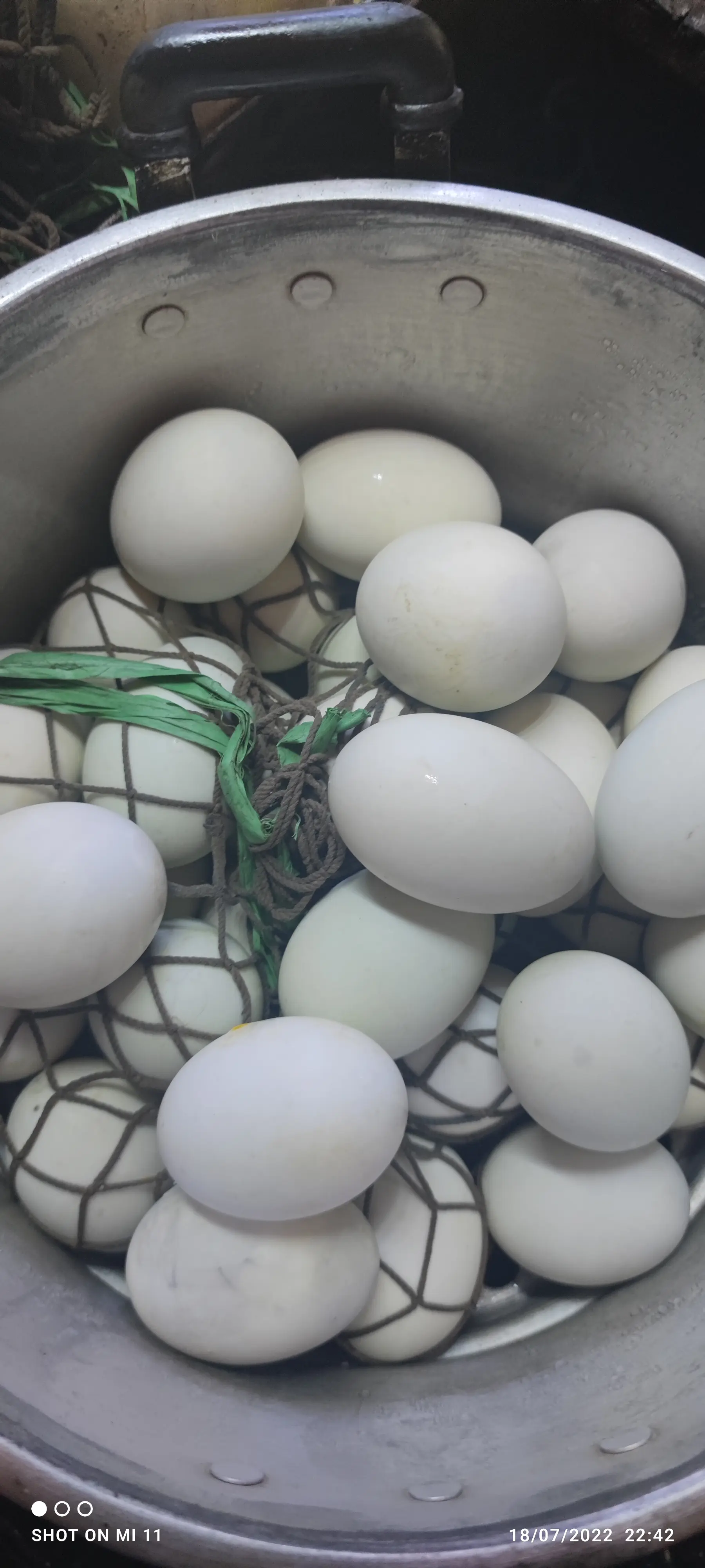 Hình ảnh trứng vịt Dữa 