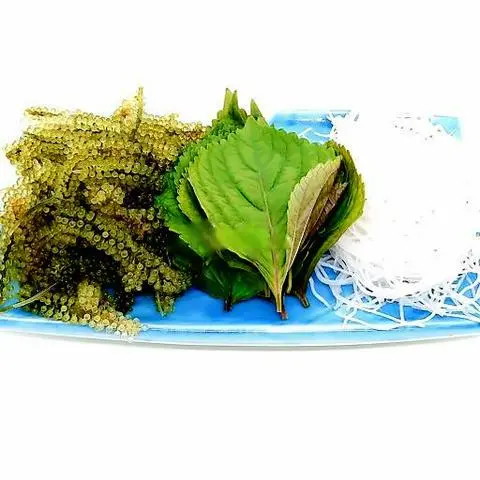Hình ảnh Rong Nho Tươi + Lá Tía Tô + Củ Cải Bào Sợi 