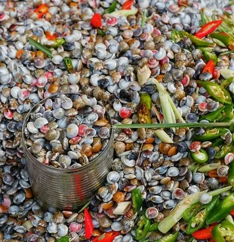 Hình ảnh ốc ruốc xào sate
