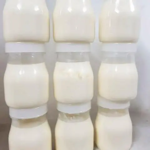 Hình ảnh Yaourt hủ