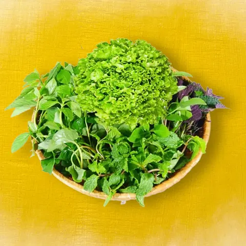 Hình ảnh Rau Sống (1 Phần)