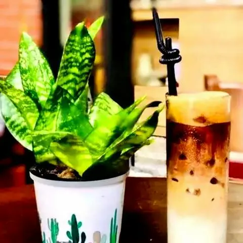 Hình ảnh cà phê muối 