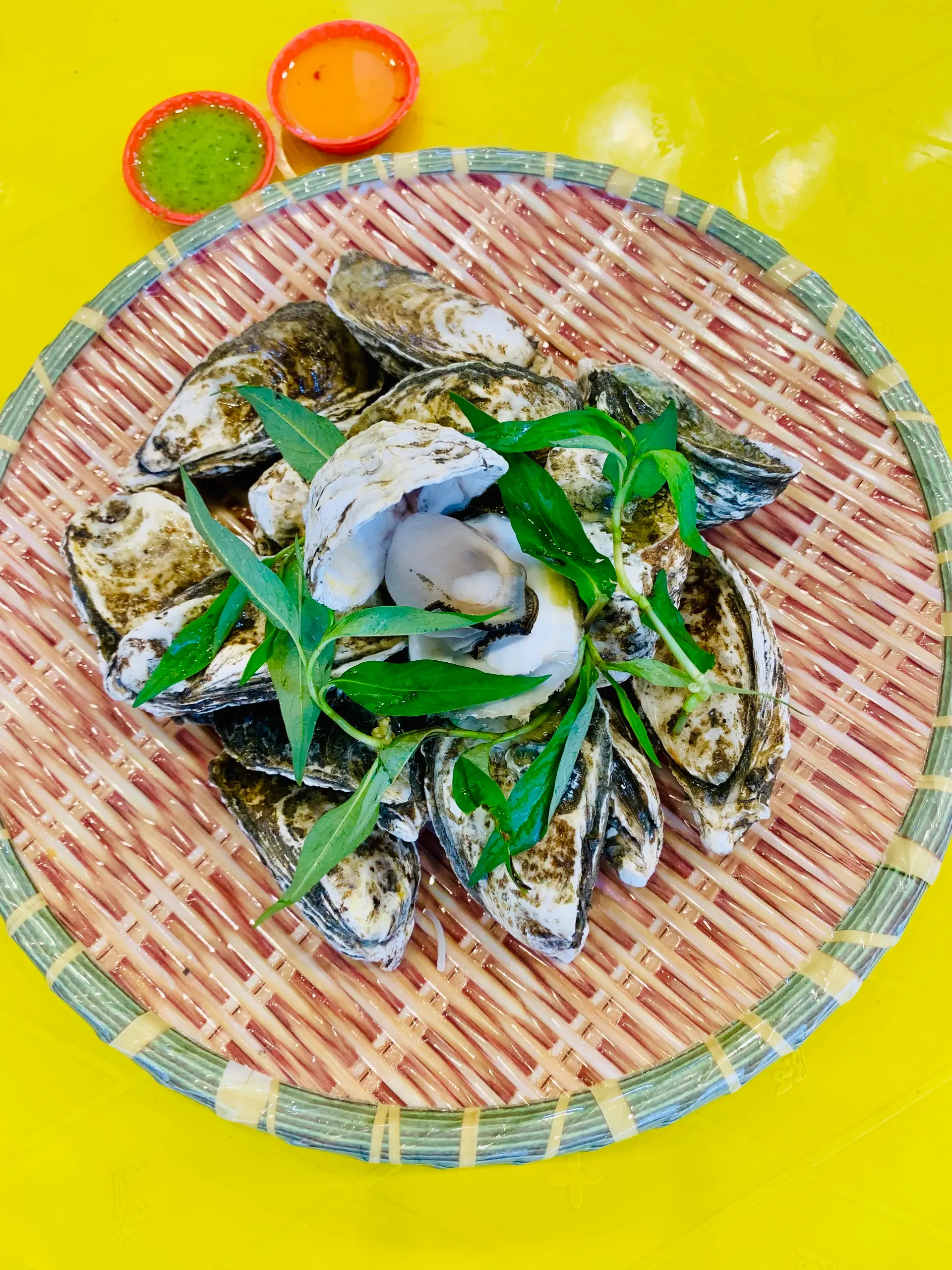 Hình ảnh HÀU SỮA HẤP