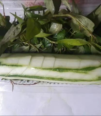 Hình ảnh rau răm dưa leo 