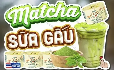 Hình ảnh Sữa Gấu Matcha