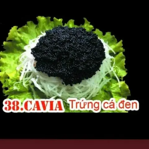 Hình ảnh 38 cavia