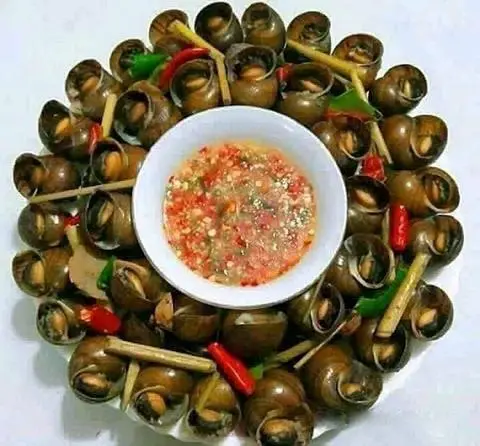 Hình ảnh ốc lác Hấp Thái