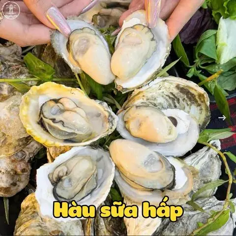 Hình ảnh Hàu Hấp Sả -12Con