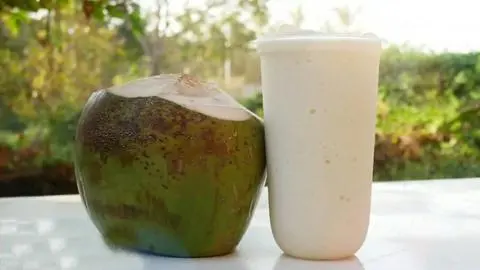 Hình ảnh Sinh tố dừa ( size 500ml)