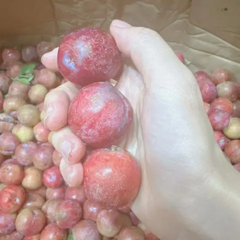Hình ảnh Mận Bắc 1kg