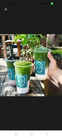 Hình ảnh Rau má sữa 