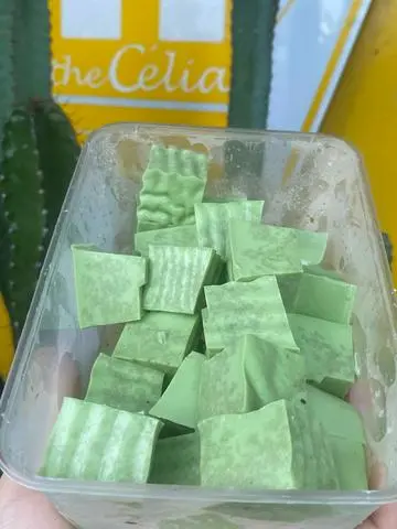 Hình ảnh KHÚC BẠCH MATCHA