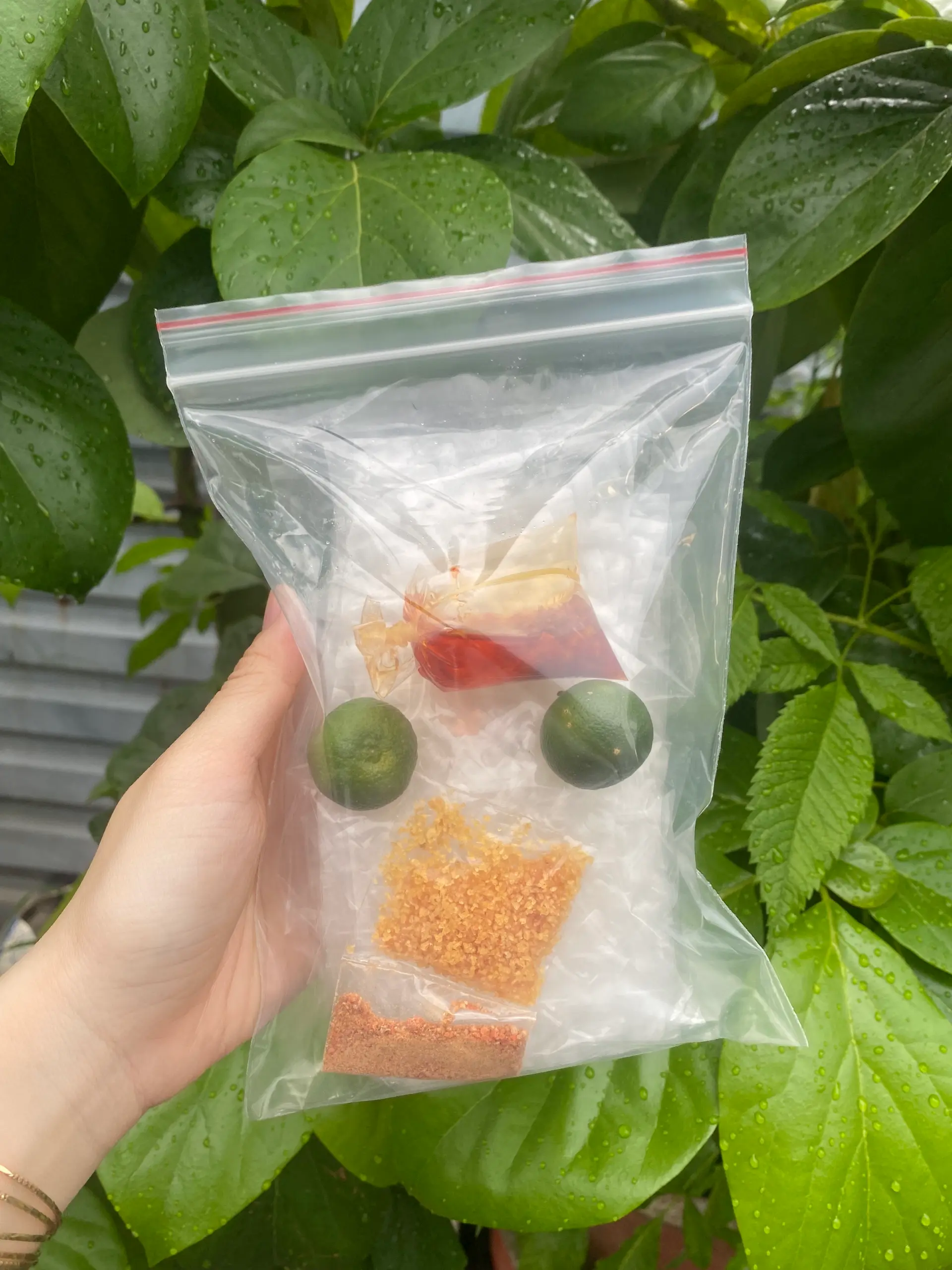 Hình ảnh Bánh tráng siêu mỏng trộn muối nhuyễn