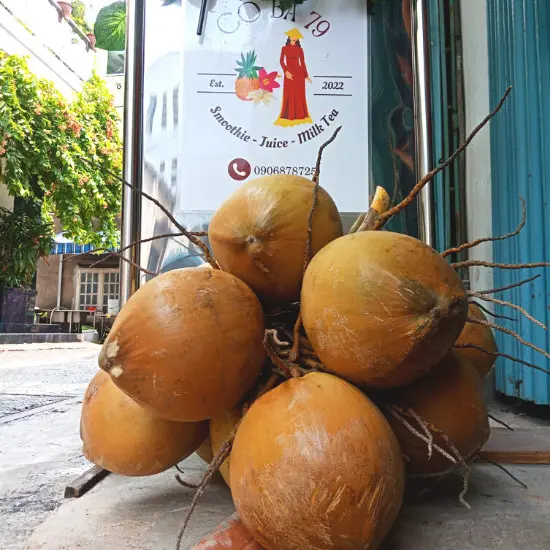 Hình ảnh Dừa Xiêm Nước Ly Khổng Lồ