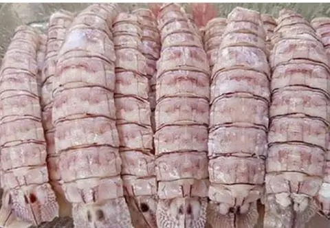 Hình ảnh bề bề 