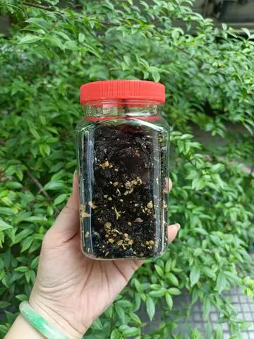 Hình ảnh Rong biển sấy tỏi phi