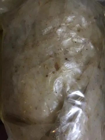 Hình ảnh Bánh Tráng Ghiền