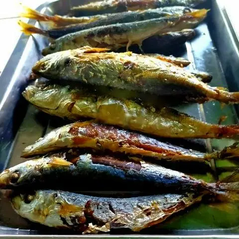 Hình ảnh Cá chiên