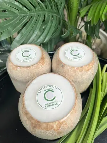 Hình ảnh Rau câu trái dừa vị nguyên bản - L (600gr - 650gr/trái)