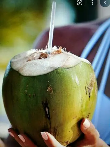 Hình ảnh Dừa tươi 